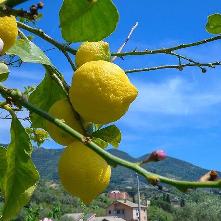 Casa Limoni Villa Monterosso al Mare Exterior photo